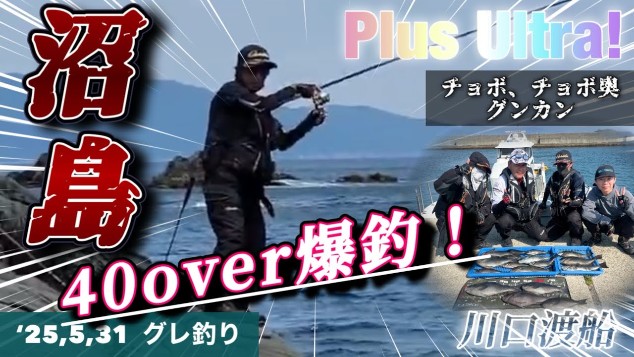 【磯釣り】過去最高！沼島の磯でデカグレ祭り！こんな日があるなんて… #フカセ釣り #fishing #グレ釣り