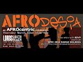 AFROdesia - AFROcentric Celebration (WMC 2012)