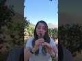 Concerning Hobbits (Lord of the Rings) - Tin Whistle Cover