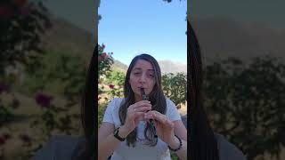 Concerning Hobbits (Lord of the Rings) - Tin Whistle Cover