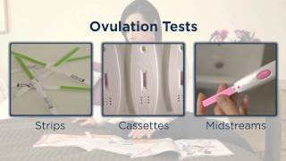 Calendar vs BBT vs Ovulation Test - Which is Best for You? screenshot 2