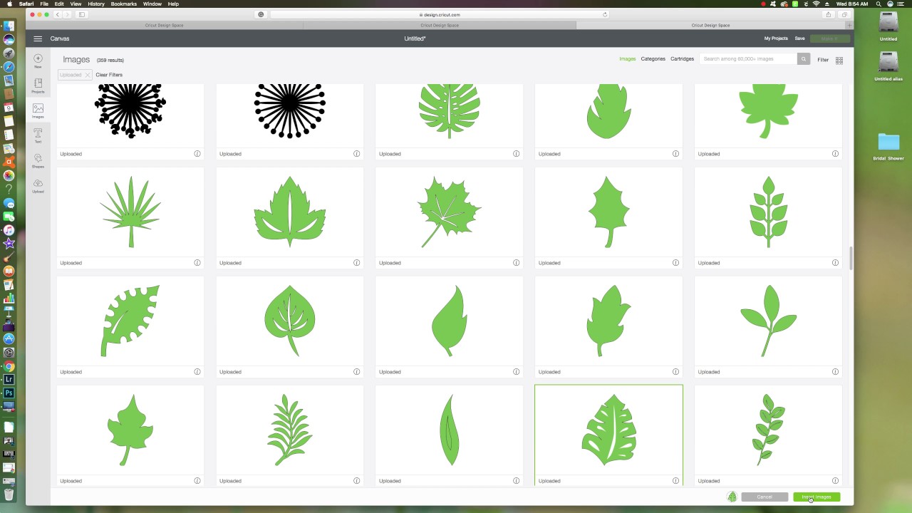 Download Cutting SVG files Leaves in your Cricut Machine - YouTube