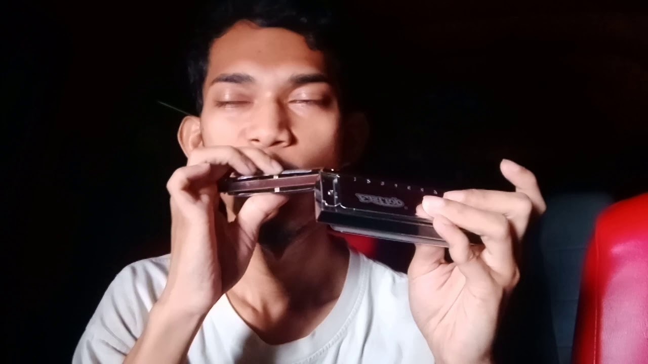Diatonic Vs Chromatic Harmonica Mario Bross Theme Youtube