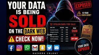 Your Data Is Being Sold on the Dark Web (Check Now!)
