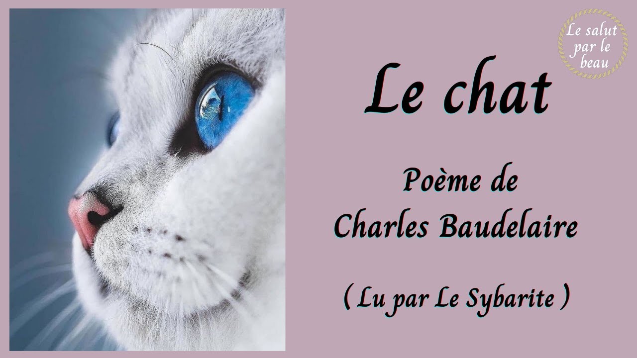 Le Chat Poeme De Charles Baudelaire Youtube