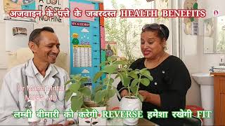 अजवाइन  के  पत्ते  के  जबरदस्त  HEALTH  BENEFITS | DR MANOJ MITTAL MBBS MD screenshot 4