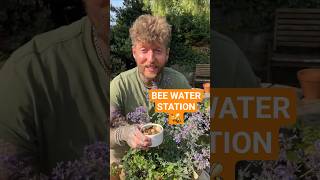 Make this simple bee water station for your garden π