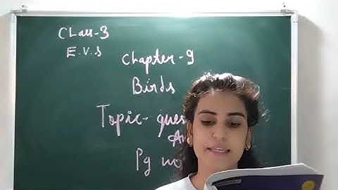 CLASS - 3 || E.V.S || CHAPTER -9 BIRDS