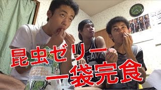 昆虫ゼリーを一袋完食してみた!!
