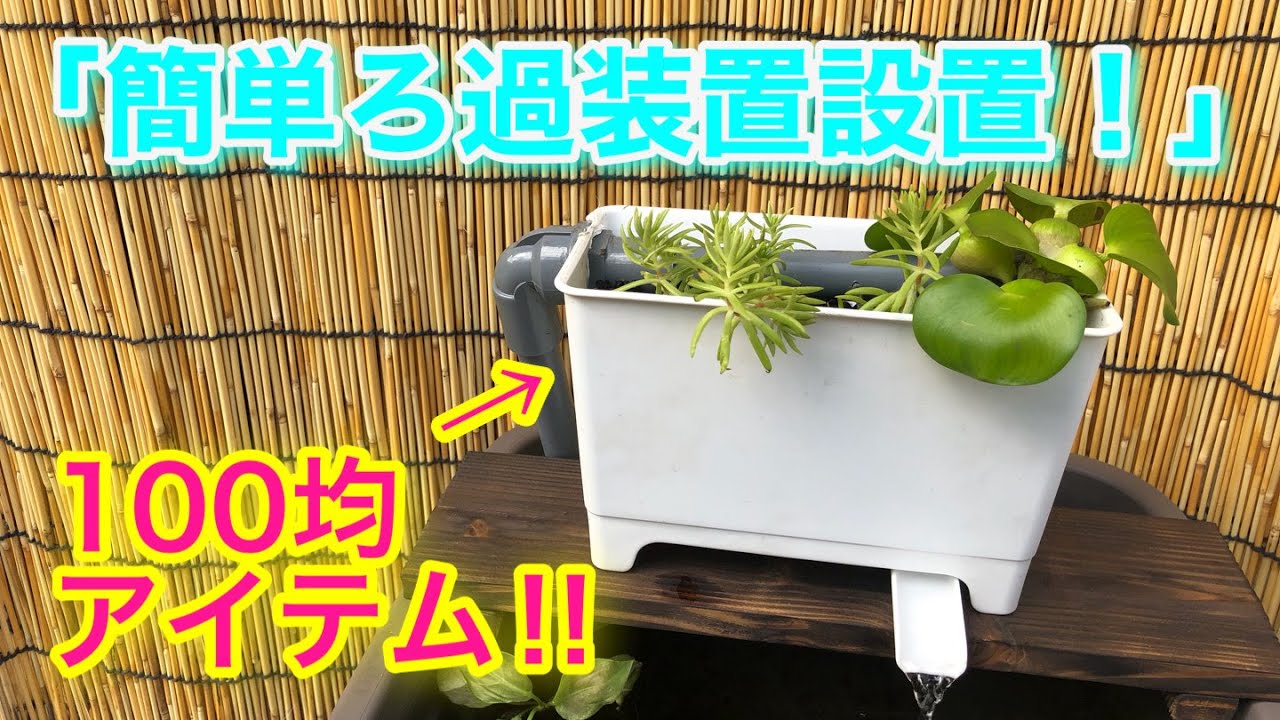 Easy DIY Filter Setup Using Dollar Store Items: Medaka Breeding 