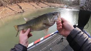 The Search for 5        Norris Lake 12 30 18