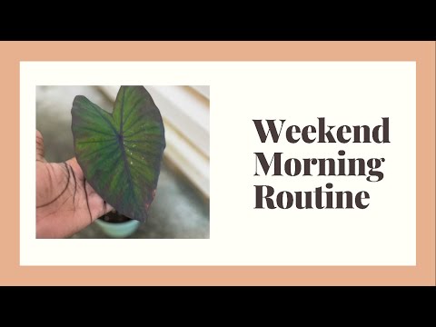 Labor Day|DITL|Plant Babies HD 720p