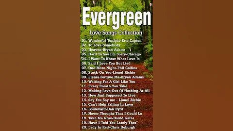 Relaxing Cruisin Love Songs 50's 60's 70's 💚 Best Evergreen Beautiful Songs Air Supply, Lobo,Beegees