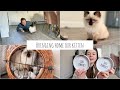 Bringing Home Our Ragdoll Kitten | WE GOT A KITTEN! | Kitten Essentials Haul~ First Day at Home ~