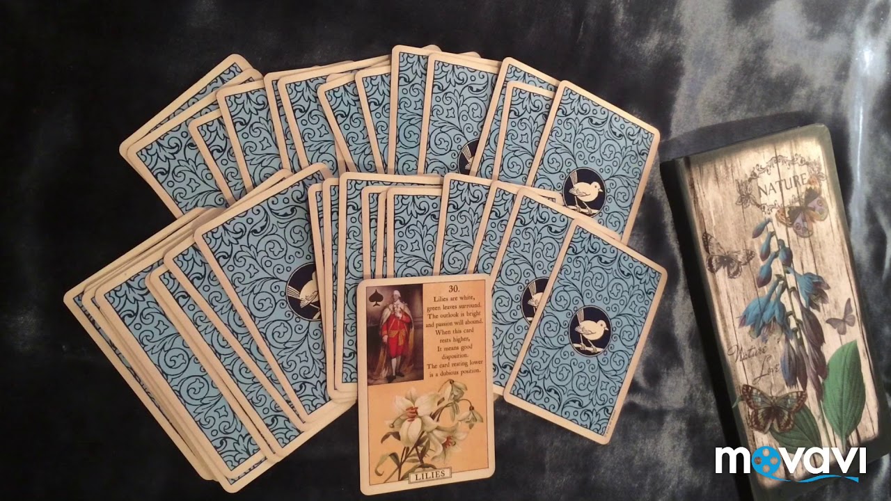Blue bird Lenormand/голубая птица Ленорман. Таро,оракул. Перевод. Карта лилии.