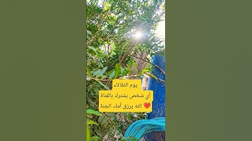 #محمد_رسول_الله #لايك #المصحف #تلاوة_هادئة #اكسبلور #ترند #تلاوة_خاشعة #حالات_واتس #يصلك #الرحمن