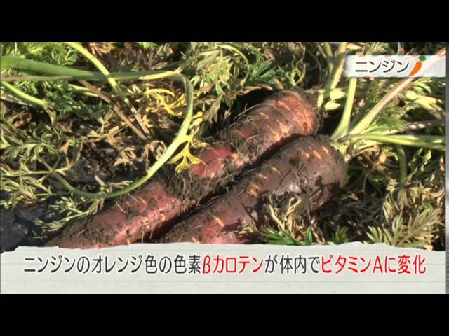 ニンジンの特徴 効能 栄養 Youtube