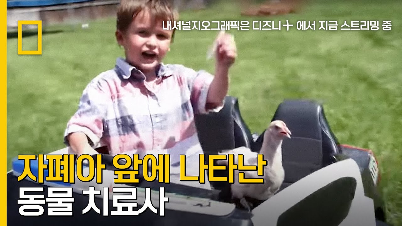 자폐아와 닭의 따뜻한 우정