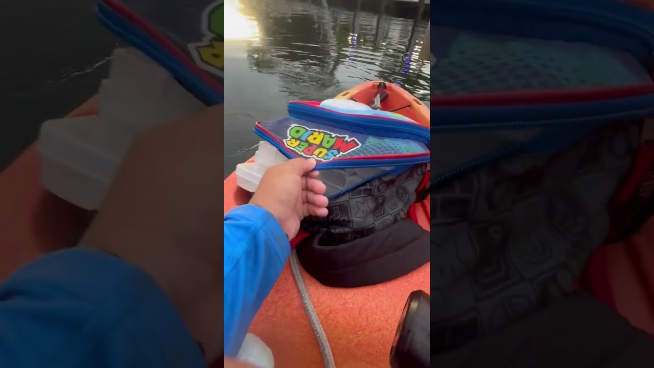 Crazy Inshore fishing (SHARKED!!!)