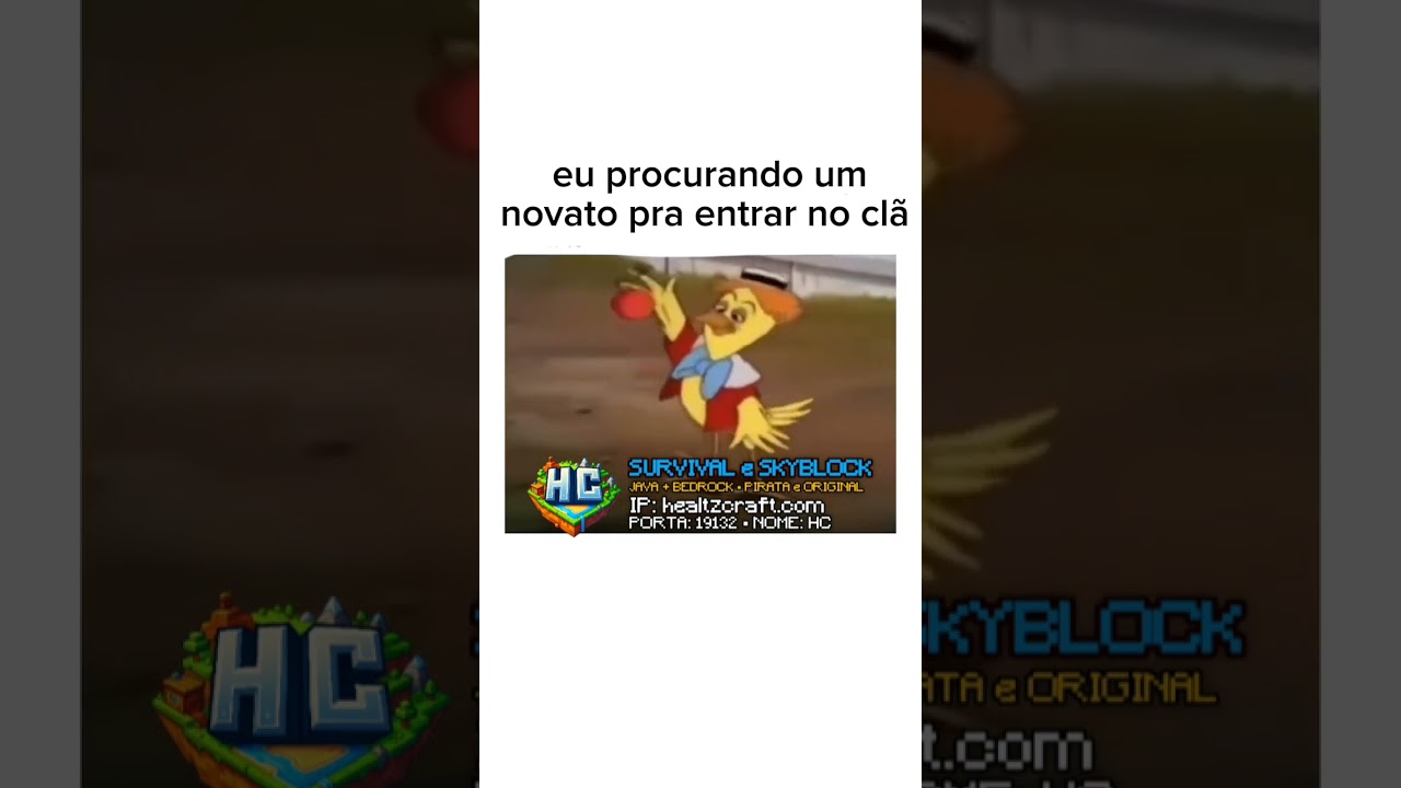 os novatos são os bons 