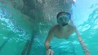 CAYO GUILLERMO   SNORKELING