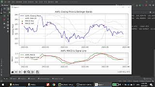 Code in place (CIP) 2021 - final python project - Stock Screener