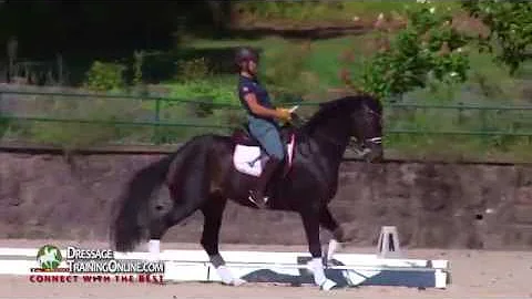 Dressage Wirh Catherin Haddad On Her Go-To Medium ...