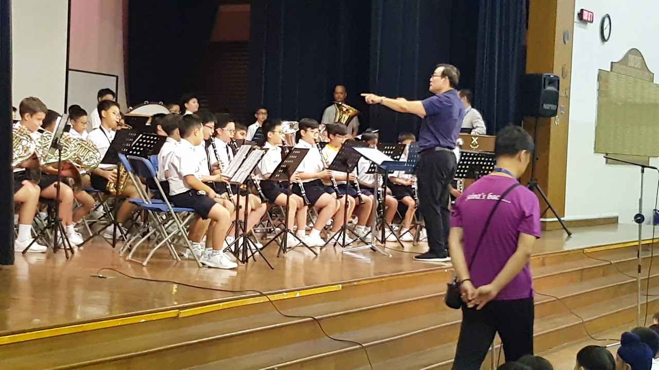 Sajs band 2019
