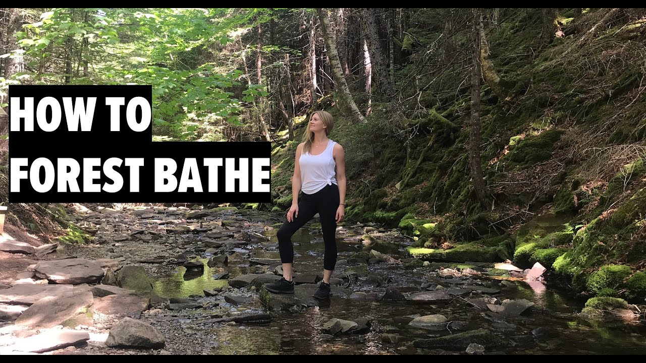 How to Forest Bathe! 🌳 The science and the spiritual. - YouTube