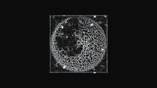 Physarum Fungus Growth Simulation based on animation (After Effects)