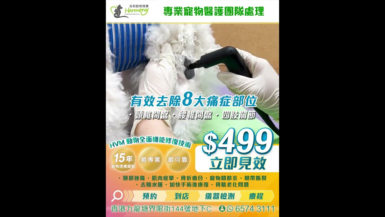 video HVM動物全面機能修復技術 ?