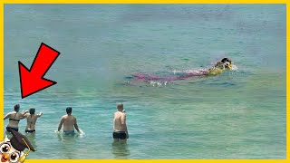 10 Mythical Creatures Captured On Camera  Part 2
