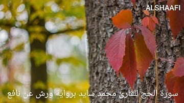 محمد سايد - سورة الحج |022| MOHAMED SAYED - SURAT AL HIJ