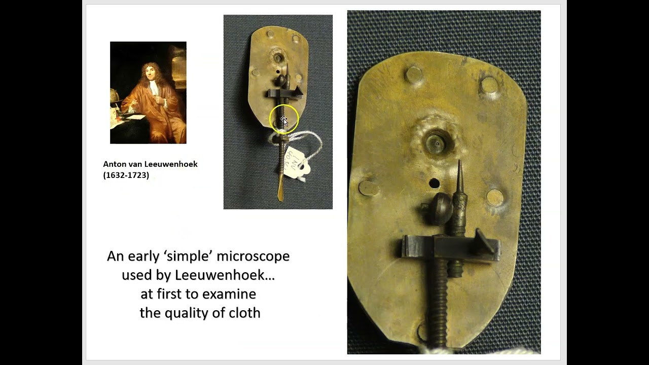 Cell theory part 1- Early discoveries