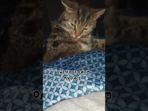 You Cant Tell Me Where To Groom You Cant Tell Me Where To Groom