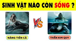 Chỉ 13% Học Sinh Giỏi Toàn Diện Có Trí Tuệ Siêu Phàm Mới Biết Hết 15 Câu Đố Này | Nhanh Trí