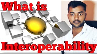 What is Interoperability? Meaning, Detail and Explanation In Hindi.