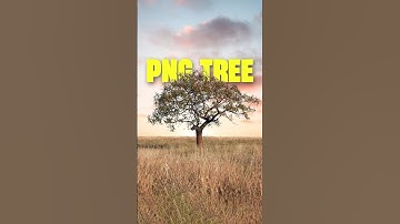 Photoshop Tutorial: Easy Steps to Create Transparent PNG Trees #gkgraphix53