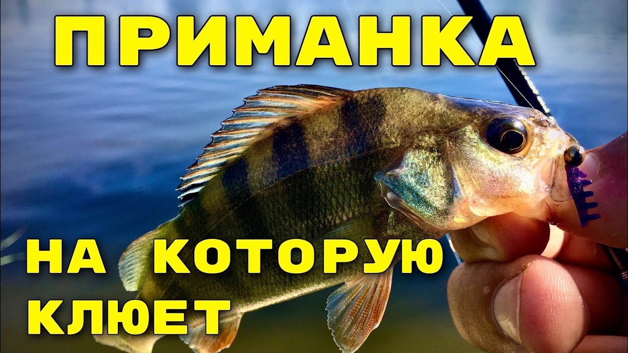 Мормышинг на оке Мормышинг на оке