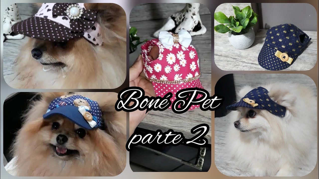 Boné Pet parte 2 (Passo a passo) molde grátis