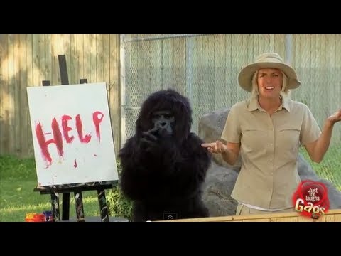 Painting Gorilla Prank