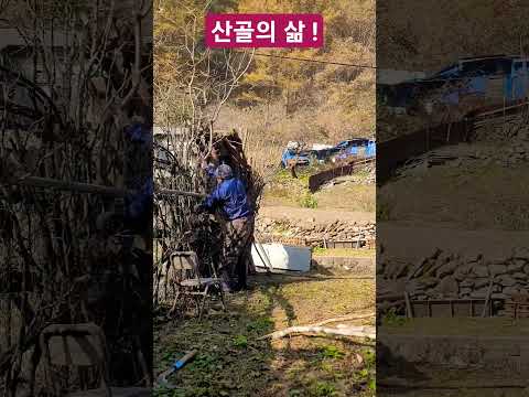 이렇게 살아도 행복 합니까 ?