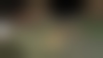 Tutorial Macro on da hood (Pc laptop only)