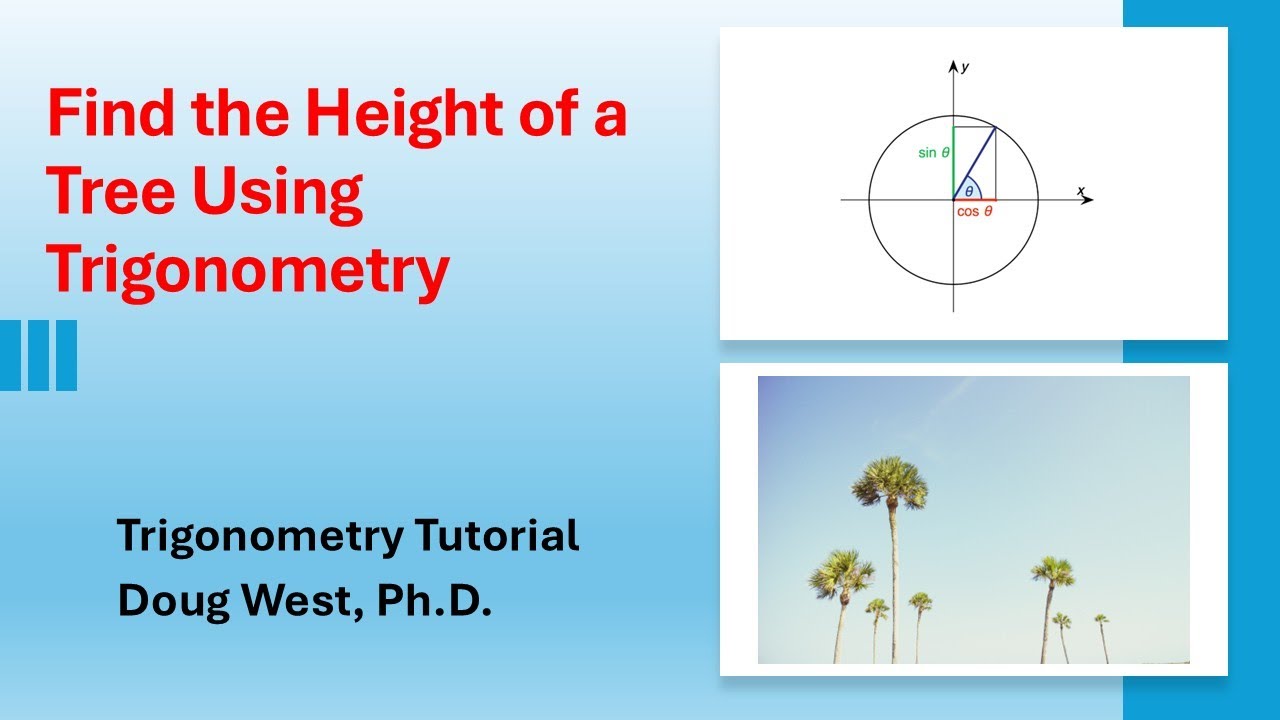 Find the Height of a Tree Using Trigonometry - YouTube