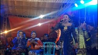 PAMER BOJO - NIKEN SALINDRI