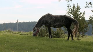 Уехать нельзя остаться