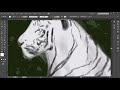 Curso Adobe Illustrator CC 5. Aula 53. salvando para web