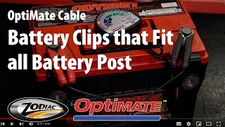 Famous OptiMate Cable (EN)_ O-04 Battery Clips that Fit all Battery Post Wealth