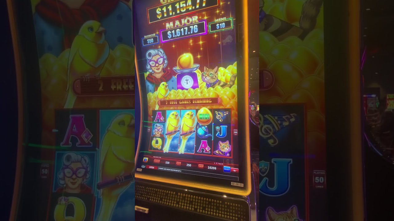 Best sweet tweet free games I’ve had 