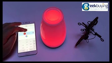 Doonne Smart Cordless Flower Arrangement Lamp